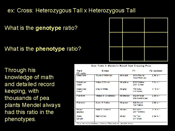 ex: Cross: Heterozygous Tall x Heterozygous Tall What is the genotype ratio? What is