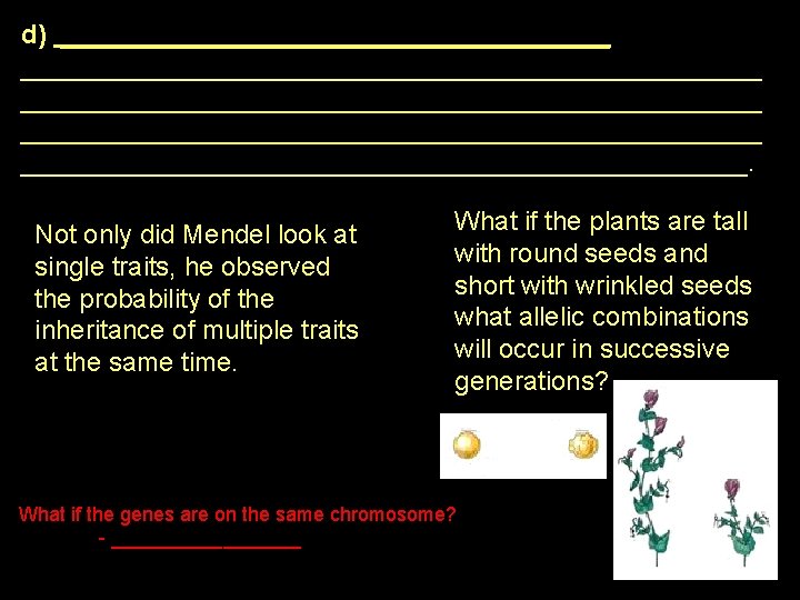 d) __________________________________________________ _________________________. Not only did Mendel look at single traits, he observed the
