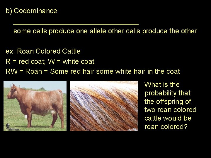 b) Codominance ________________ some cells produce one allele other cells produce the other ex: