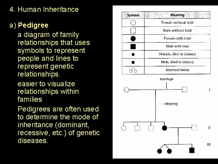 4. Human Inheritance a) Pedigree a diagram of family relationships that uses symbols to