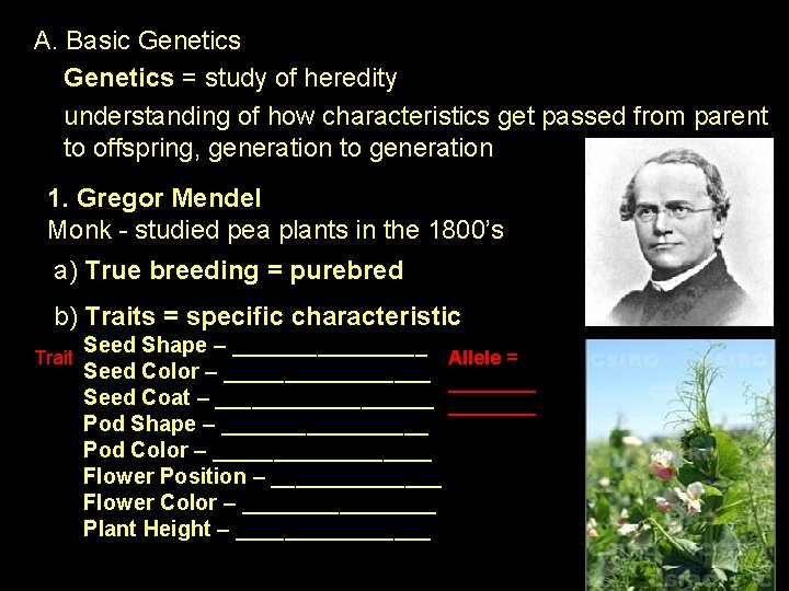 A. Basic Genetics = study of heredity understanding of how characteristics get passed from