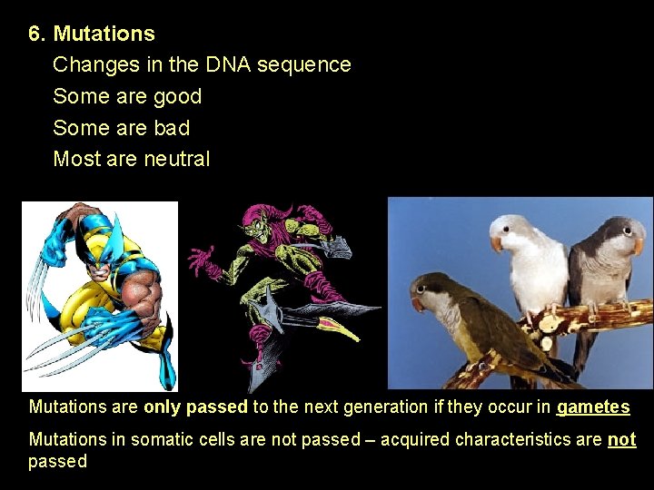 6. Mutations Changes in the DNA sequence Some are good Some are bad Most