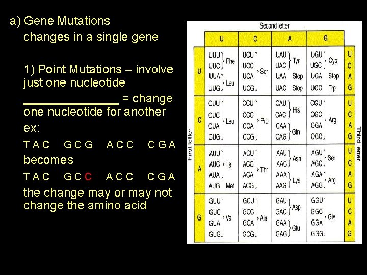 a) Gene Mutations changes in a single gene 1) Point Mutations – involve just