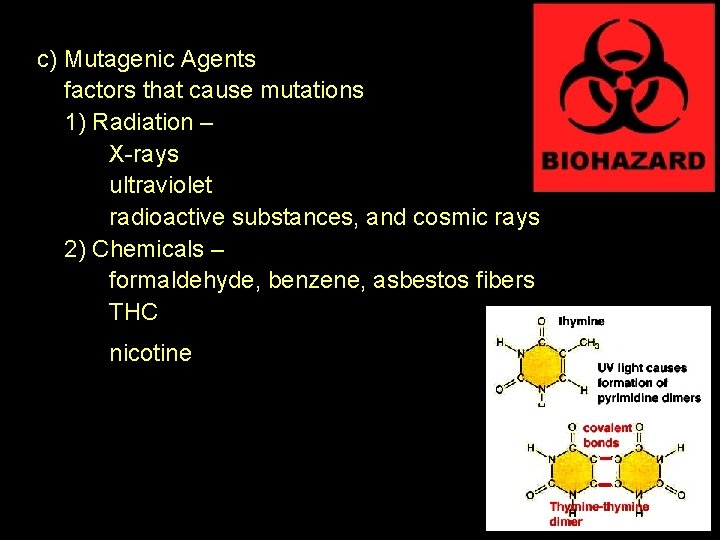 c) Mutagenic Agents factors that cause mutations 1) Radiation – X-rays ultraviolet radioactive substances,
