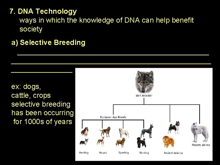 7. DNA Technology ways in which the knowledge of DNA can help benefit society