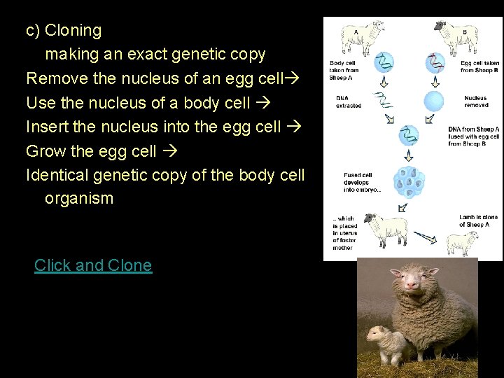 c) Cloning making an exact genetic copy Remove the nucleus of an egg cell