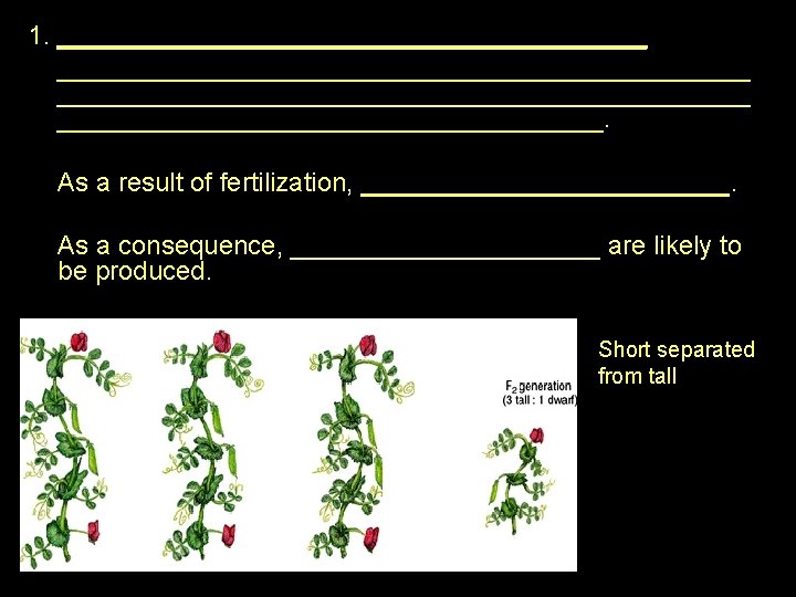 1. _______________________________________________ ___________________. As a result of fertilization, _____________. As a consequence, ___________ are