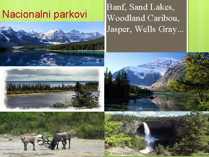 Nacionalni parkovi Banf, Sand Lakes, Woodland Caribou, Jasper, Wells Gray. . . 