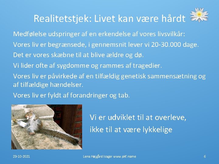 Realitetstjek: Livet kan være hårdt Medfølelse udspringer af en erkendelse af vores livsvilkår: Vores