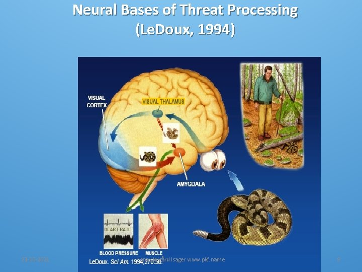 Neural Bases of Threat Processing (Le. Doux, 1994) 23 -10 -2021 Lena Højgård Isager