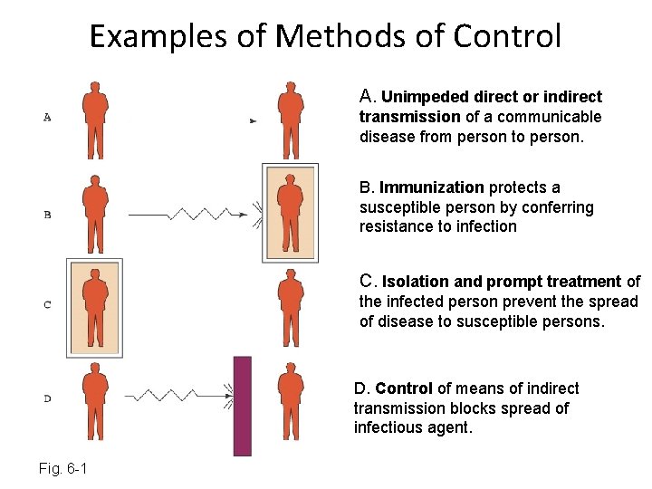 Examples of Methods of Control A. Unimpeded direct or indirect transmission of a communicable