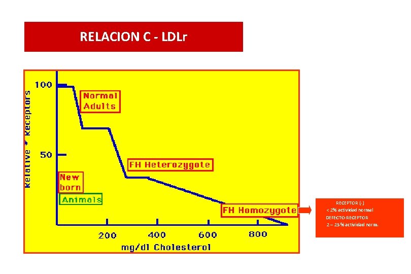 RELACION C - LDLr RECEPTOR (-) < 2% actividad normal DEFECTO-RECEPTOR 2 – 25