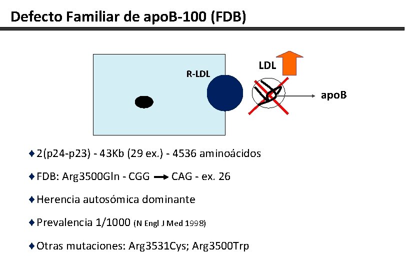 Defecto Familiar de apo. B-100 (FDB) R-LDL apo. B ¨ 2(p 24 -p 23)