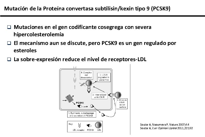 Mutación de la Proteína convertasa subtilisin/kexin tipo 9 (PCSK 9) Mutaciones en el gen