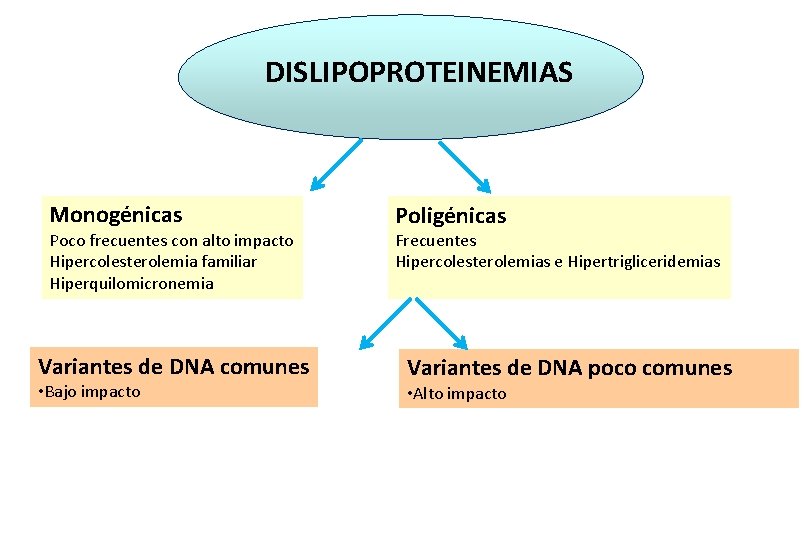 DISLIPOPROTEINEMIAS Monogénicas Poco frecuentes con alto impacto Hipercolesterolemia familiar Hiperquilomicronemia Variantes de DNA comunes