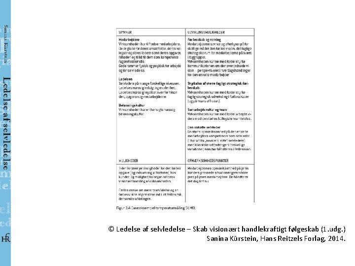© Ledelse af selvledelse – Skab visionært handlekraftigt følgeskab (1. udg. ) Sanina Kürstein,