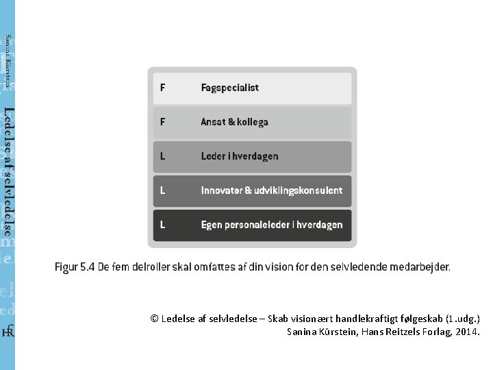 © Ledelse af selvledelse – Skab visionært handlekraftigt følgeskab (1. udg. ) Sanina Kürstein,