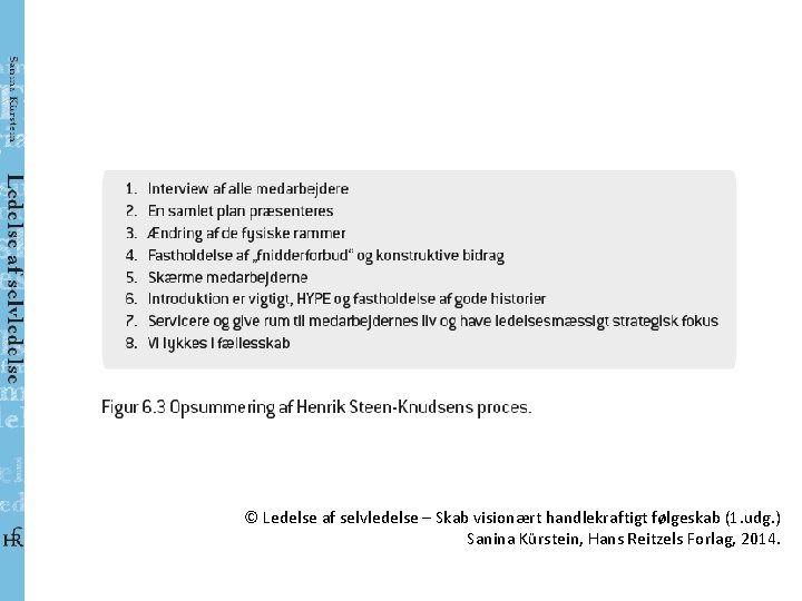 © Ledelse af selvledelse – Skab visionært handlekraftigt følgeskab (1. udg. ) Sanina Kürstein,