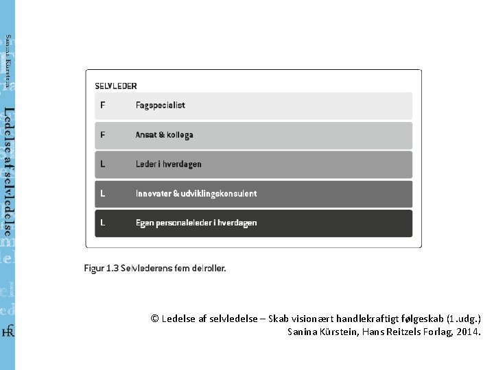 © Ledelse af selvledelse – Skab visionært handlekraftigt følgeskab (1. udg. ) Sanina Kürstein,