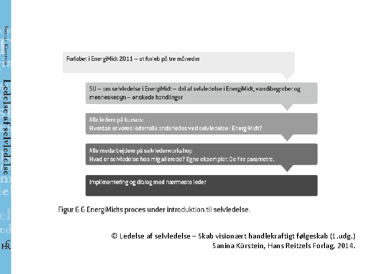 © Ledelse af selvledelse – Skab visionært handlekraftigt følgeskab (1. udg. ) Sanina Kürstein,