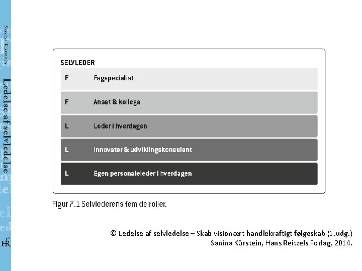 © Ledelse af selvledelse – Skab visionært handlekraftigt følgeskab (1. udg. ) Sanina Kürstein,