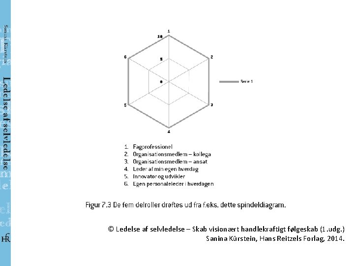 © Ledelse af selvledelse – Skab visionært handlekraftigt følgeskab (1. udg. ) Sanina Kürstein,
