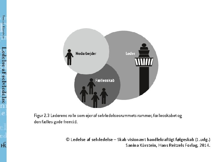 © Ledelse af selvledelse – Skab visionært handlekraftigt følgeskab (1. udg. ) Sanina Kürstein,