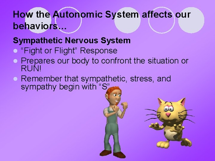 How the Autonomic System affects our behaviors… Sympathetic Nervous System l “Fight or Flight”