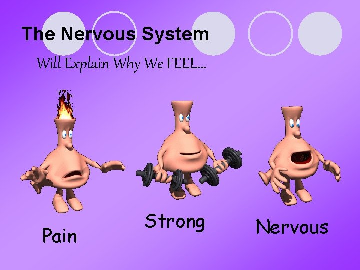 The Nervous System Will Explain Why We FEEL… Pain Strong Nervous 