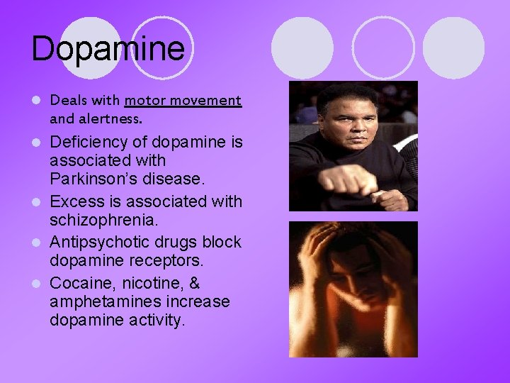 Dopamine l l l Deals with motor movement and alertness. Deficiency of dopamine is