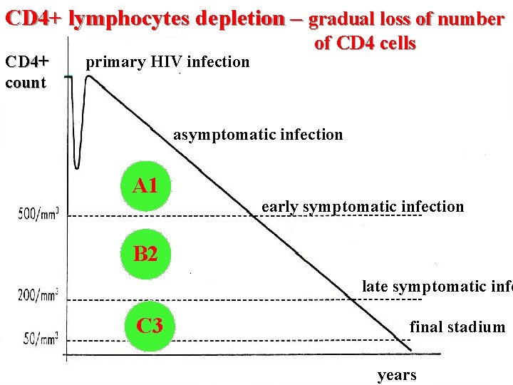 CD 4+ lymphocytes depletion – gradual loss of number CD 4+ count primary HIV