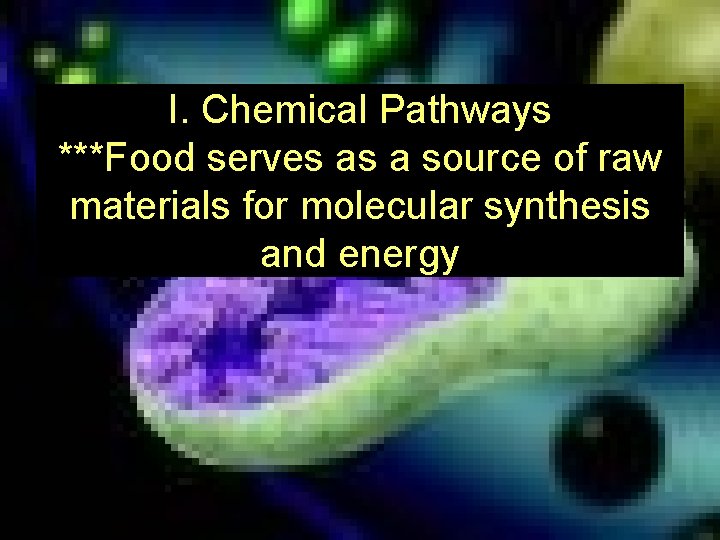 I. Chemical Pathways ***Food serves as a source of raw materials for molecular synthesis