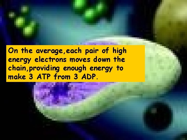 On the average, each pair of high energy electrons moves down the chain, providing