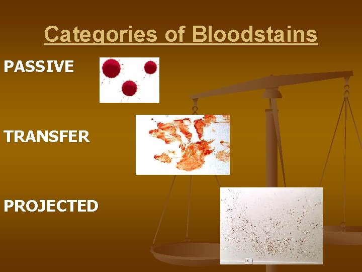 Categories of Bloodstains PASSIVE TRANSFER PROJECTED 