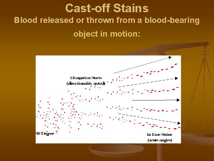 Cast-off Stains Blood released or thrown from a blood-bearing object in motion: 