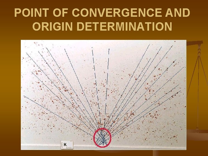 POINT OF CONVERGENCE AND ORIGIN DETERMINATION 