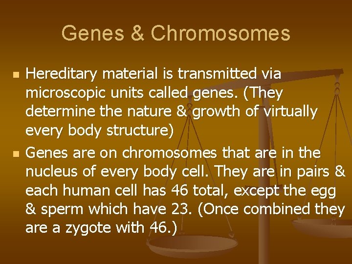 Genes & Chromosomes n n Hereditary material is transmitted via microscopic units called genes.