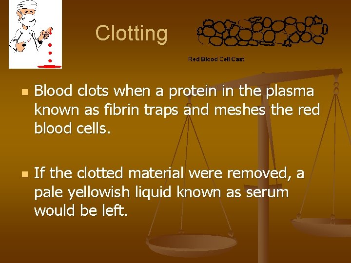 Clotting n n Blood clots when a protein in the plasma known as fibrin