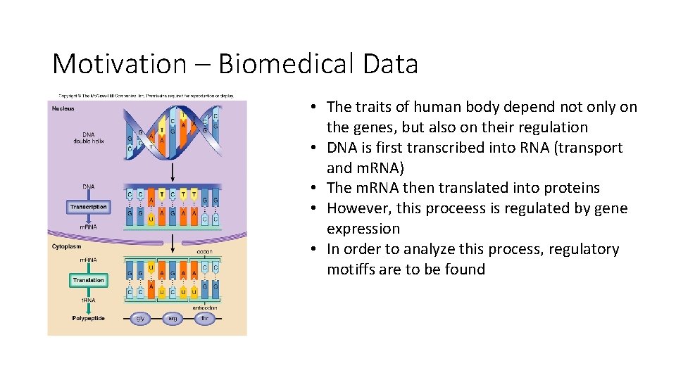 Motivation – Biomedical Data • The traits of human body depend not only on