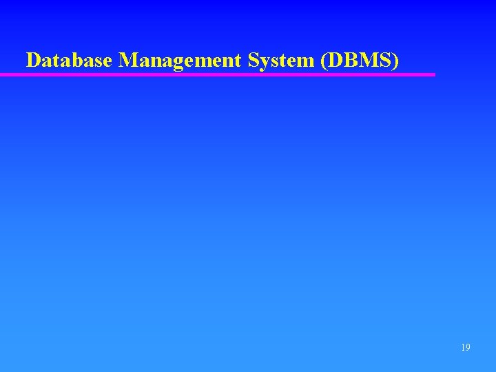 Database Management System (DBMS) 19 