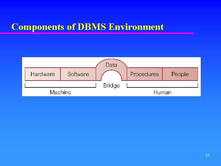 Components of DBMS Environment 24 