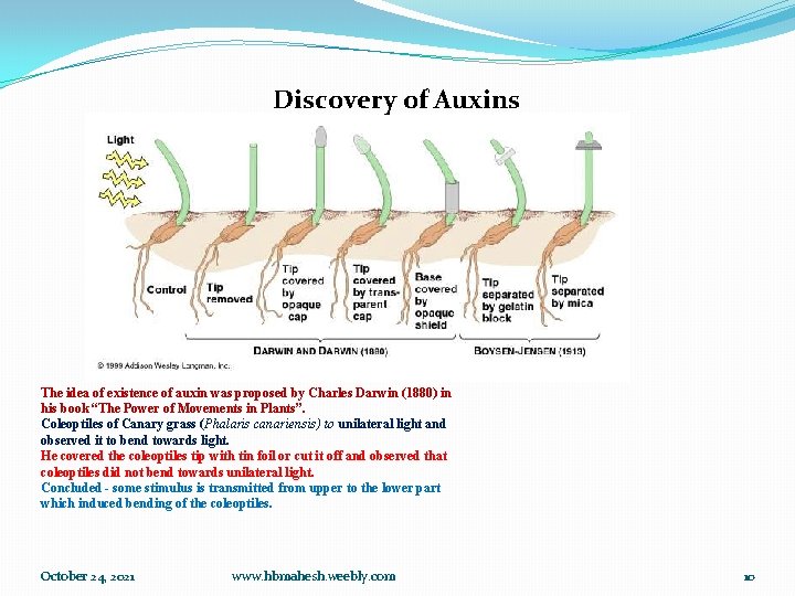 Discovery of Auxins The idea of existence of auxin was proposed by Charles Darwin