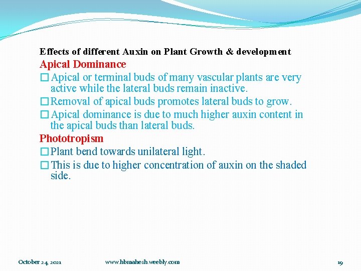 Effects of different Auxin on Plant Growth & development Apical Dominance �Apical or terminal