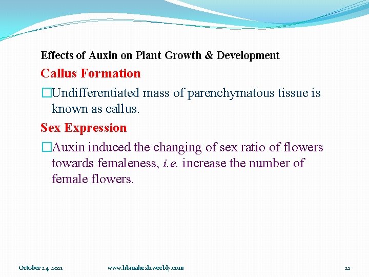 Effects of Auxin on Plant Growth & Development Callus Formation �Undifferentiated mass of parenchymatous