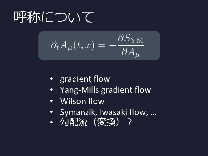 呼称について • • • gradient flow Yang-Mills gradient flow Wilson flow Symanzik, Iwasaki flow,