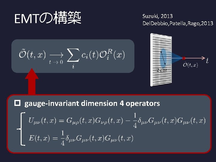 EMTの構築 Suzuki, 2013 Del. Debbio, Patella, Rago, 2013 p gauge-invariant dimension 4 operators 