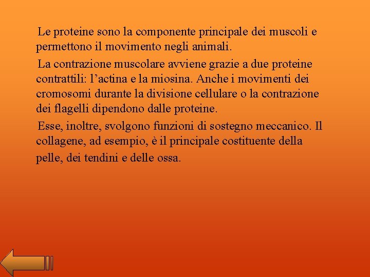 Le proteine sono la componente principale dei muscoli e permettono il movimento negli animali.