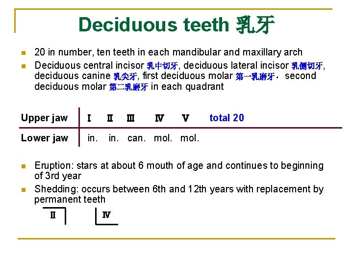 Deciduous teeth 乳牙 n n 20 in number, ten teeth in each mandibular and