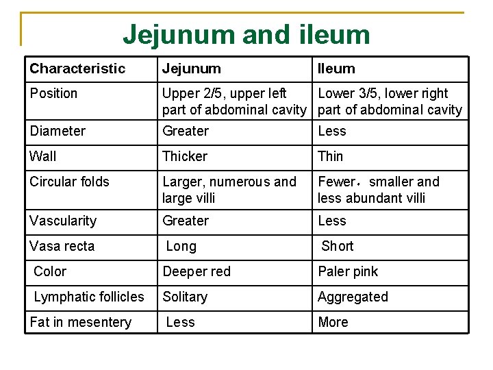 Jejunum and ileum Characteristic Jejunum Ileum Position Upper 2/5, upper left Lower 3/5, lower