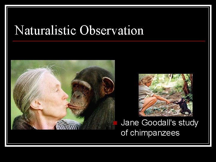 Naturalistic Observation n Jane Goodall's study of chimpanzees 